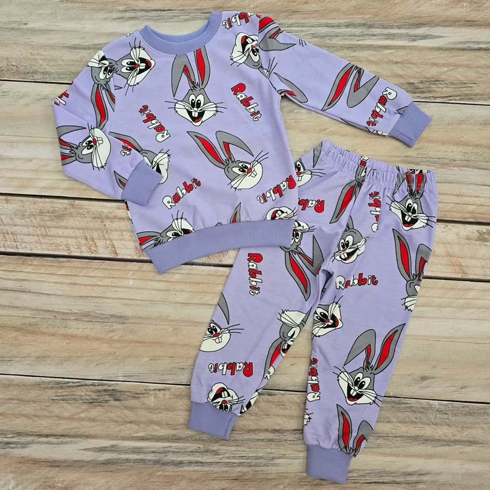 (3-7) Yaş TAVŞAN DESENLİ KARAKTERLİ MEVSİMLİK TAKIM - DESENLİ - 4 YAŞ