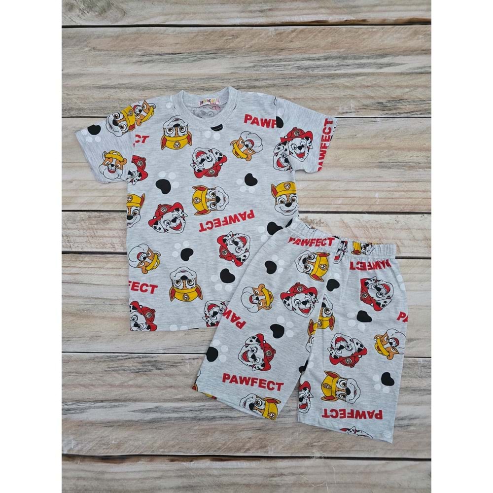 (5-10) Yaş DEFNECAN PAW PETROL BASKILI ŞORTLU TAKIM - DESENLİ - 5-6 YAŞ