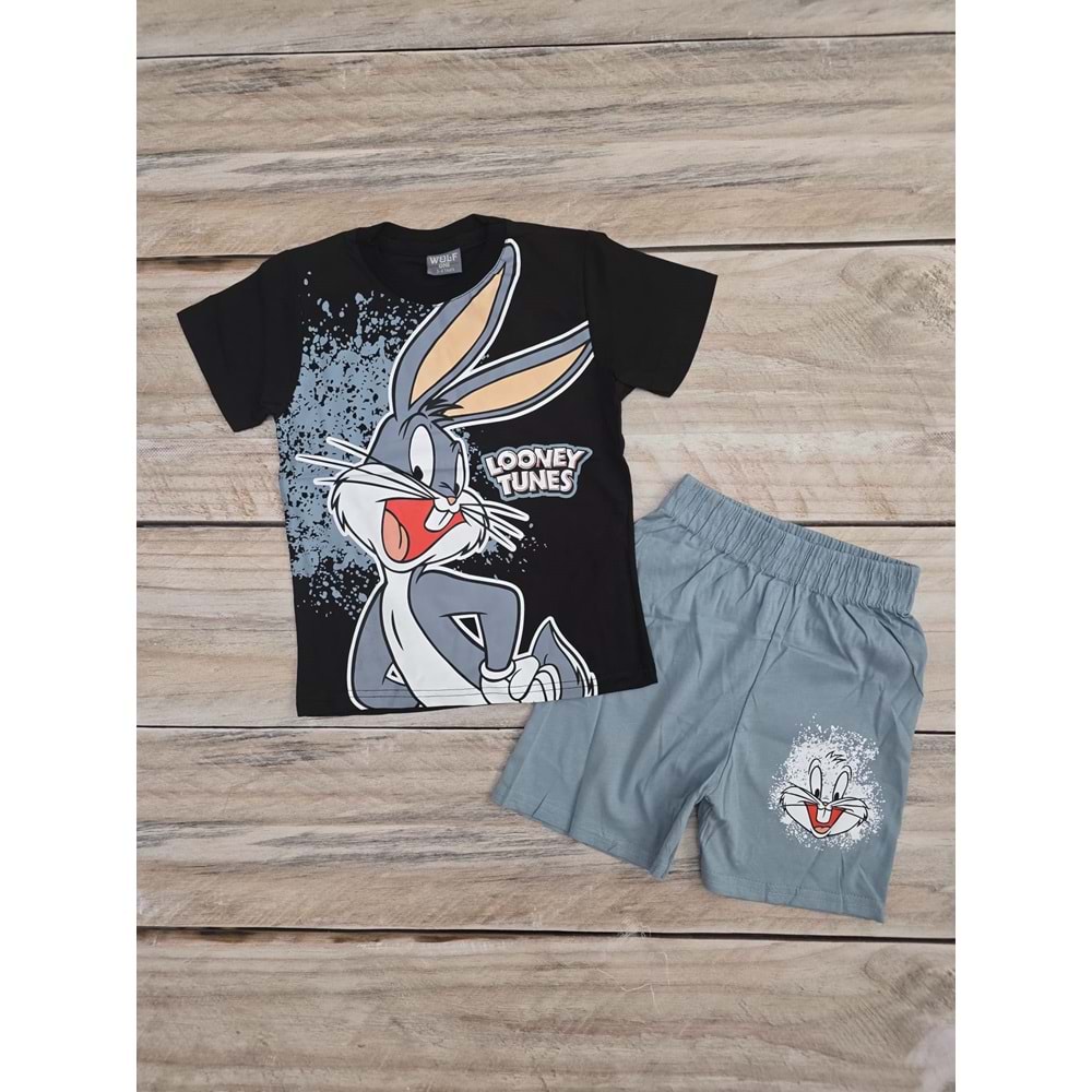 (3-10) Yaş WOLF LOONEY TUNES DESENLİ ŞORTLU TAKIM - MİNT YEŞİLİ - 9-10 YAŞ