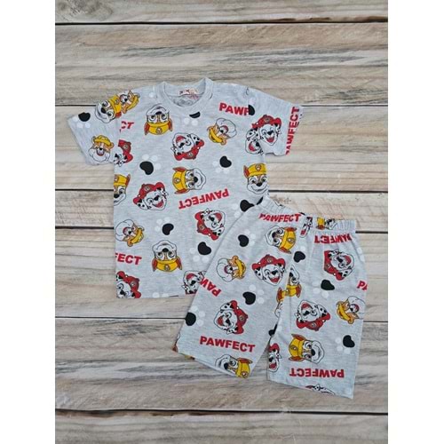 (5-10) Yaş DEFNECAN PAW PETROL BASKILI ŞORTLU TAKIM
